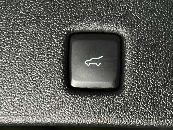 Ford Kuga Hybrid Active X+360°Kamera+B&O+Head-Up