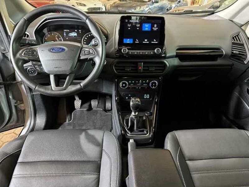 Ford EcoSport Active+Kamera+BLIS+Winter-P. +Tempo