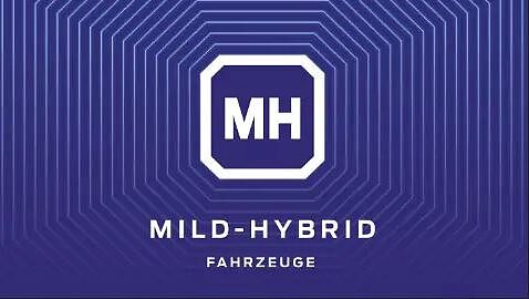 Mild-Hybrid Icon