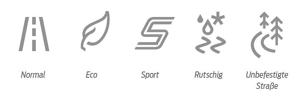 Eine Auflistung mit Icons: Normal, Eco, Sport, Rutschig und Unbefestigte Straße