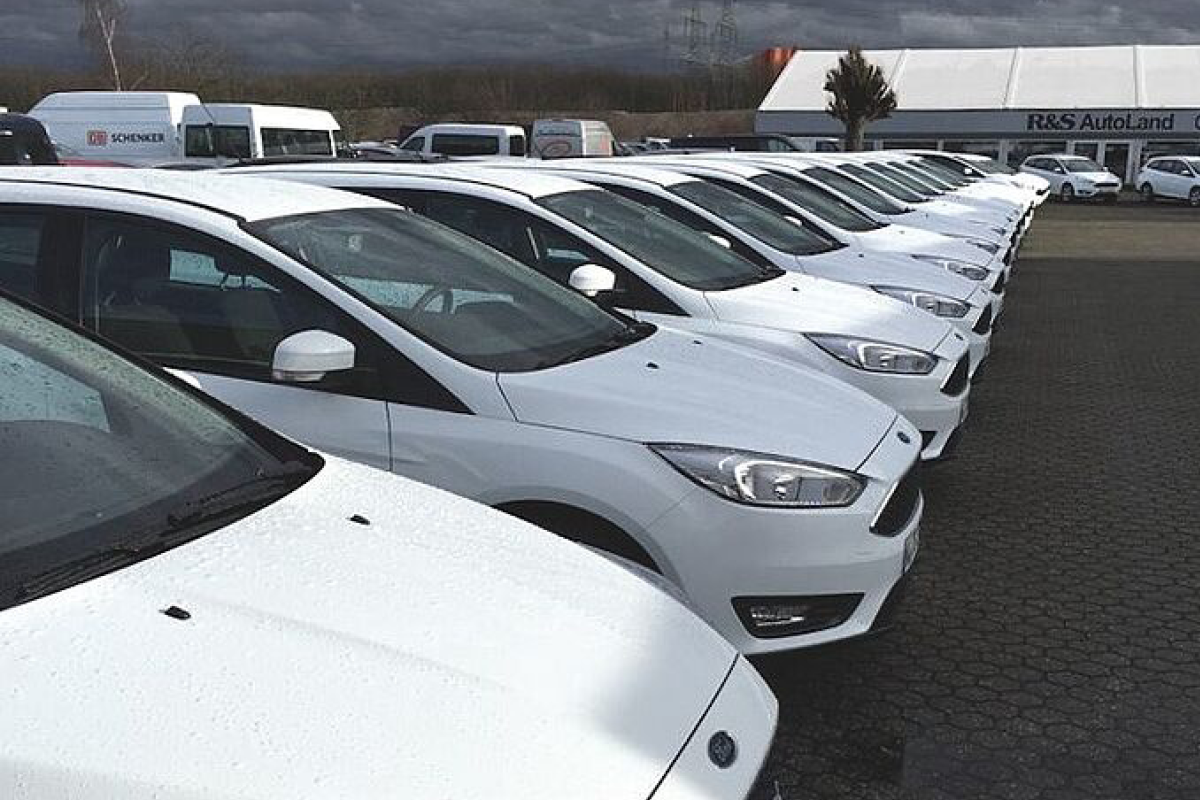 Sehr viele weiße Ford-Autos, des gleichen Modell-Typs