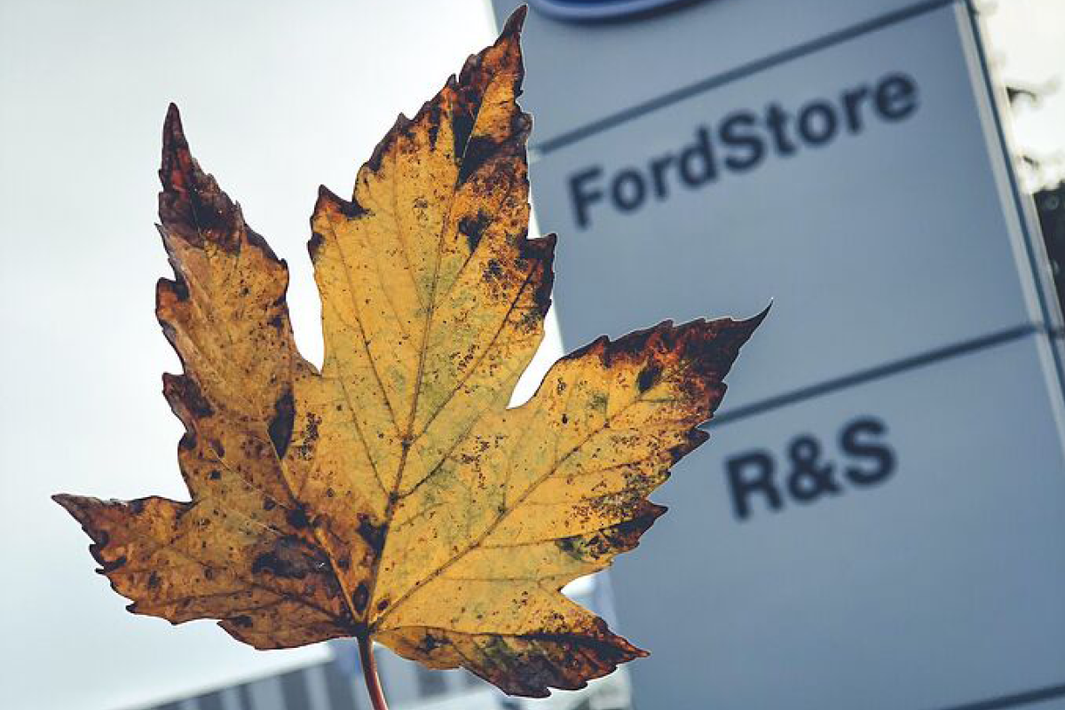 Ein Laubblatt vor dem Eingangsschild des Autohauses